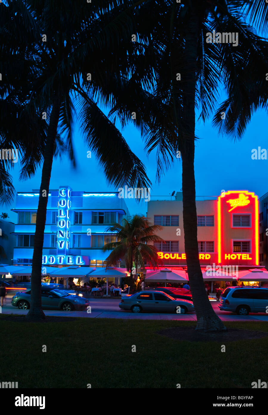 Palmen und Straße in der Nacht Stockfoto