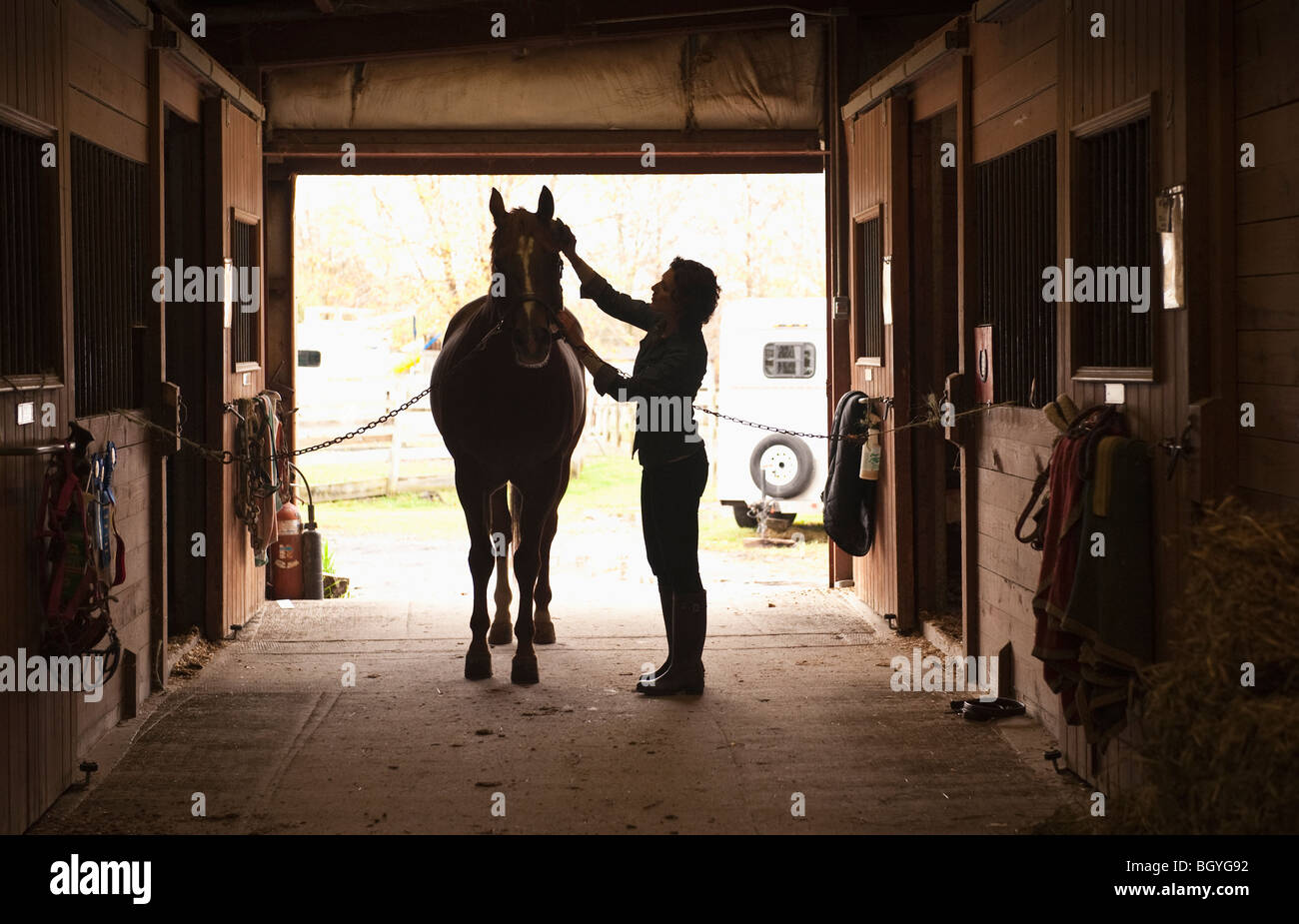 Frau Pflege Pferd Stockfoto