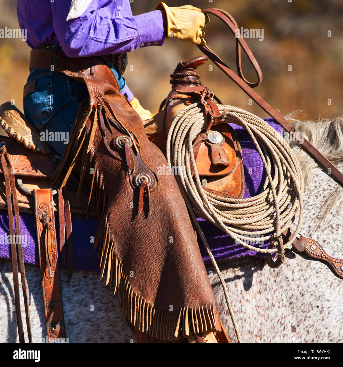 Cowgirl Stockfoto