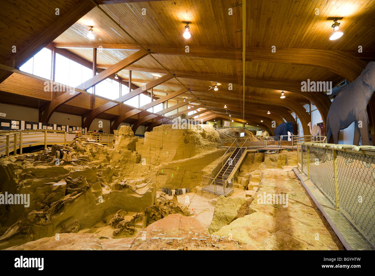Das Mammut Website Museum, Hot Springs SD innere Ansicht von Fossil mit Mammutknochen Stoßzähne Fossilien in Paläontologie Graben. Stockfoto