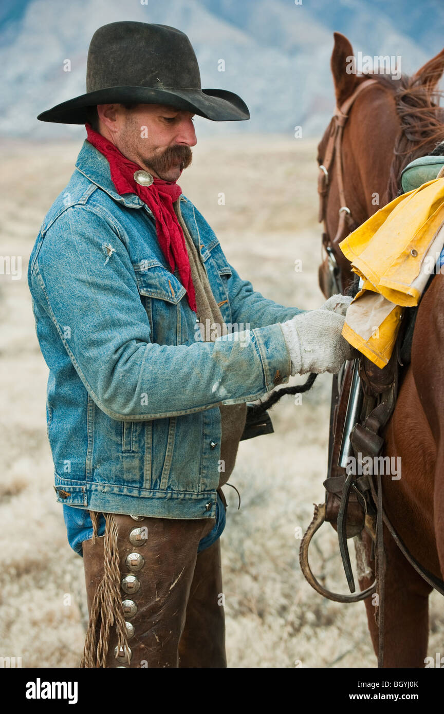 Mann, die Anpassung der Sattel am Pferd Stockfotografie Alamy