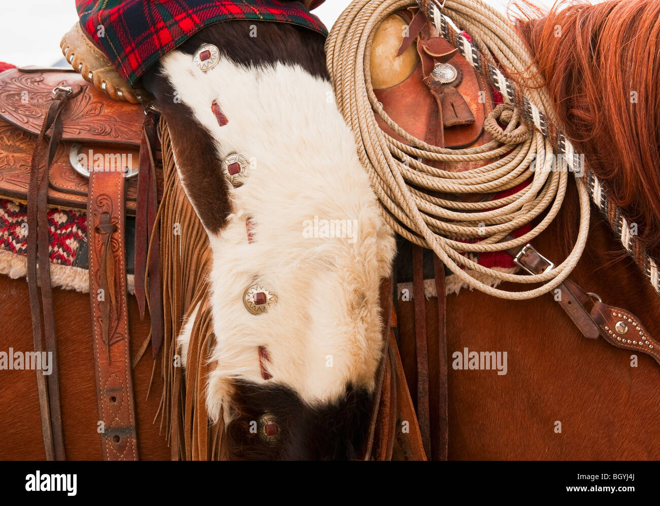 Cowboy auf Pferd Stockfoto