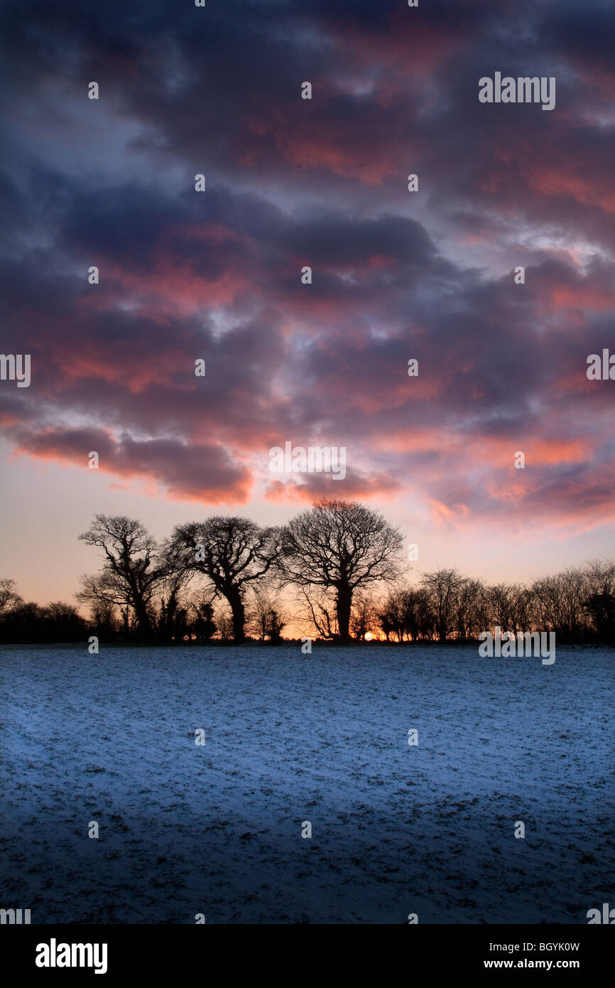 Sonnenuntergang über Winter Ackerland Gimingham Norfolk Stockfoto