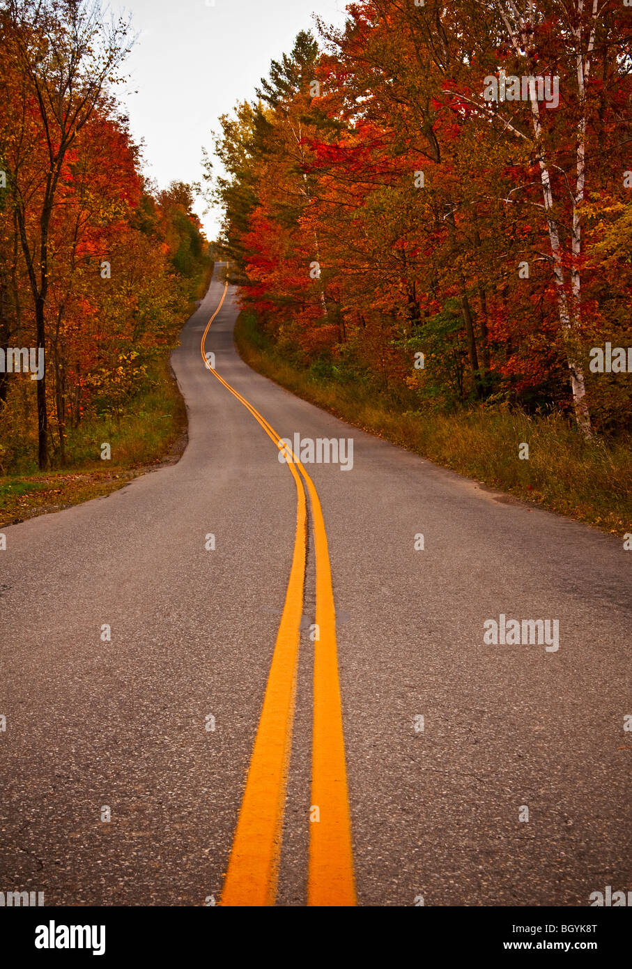Straße im Herbst Stockfoto