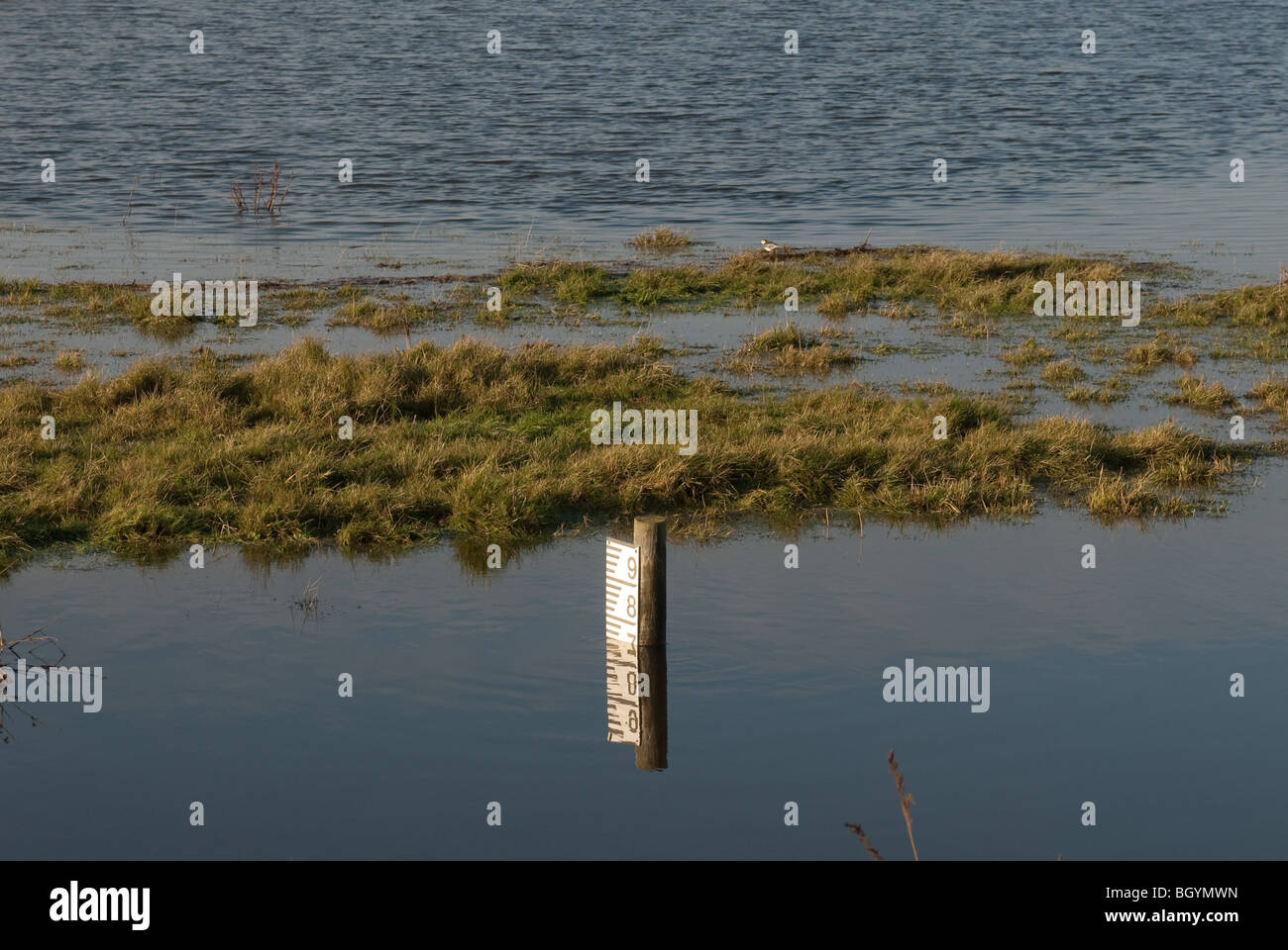 Überschwemmtes Gebiet mit Tiefenmesser in Pennington Marshes Stockfoto