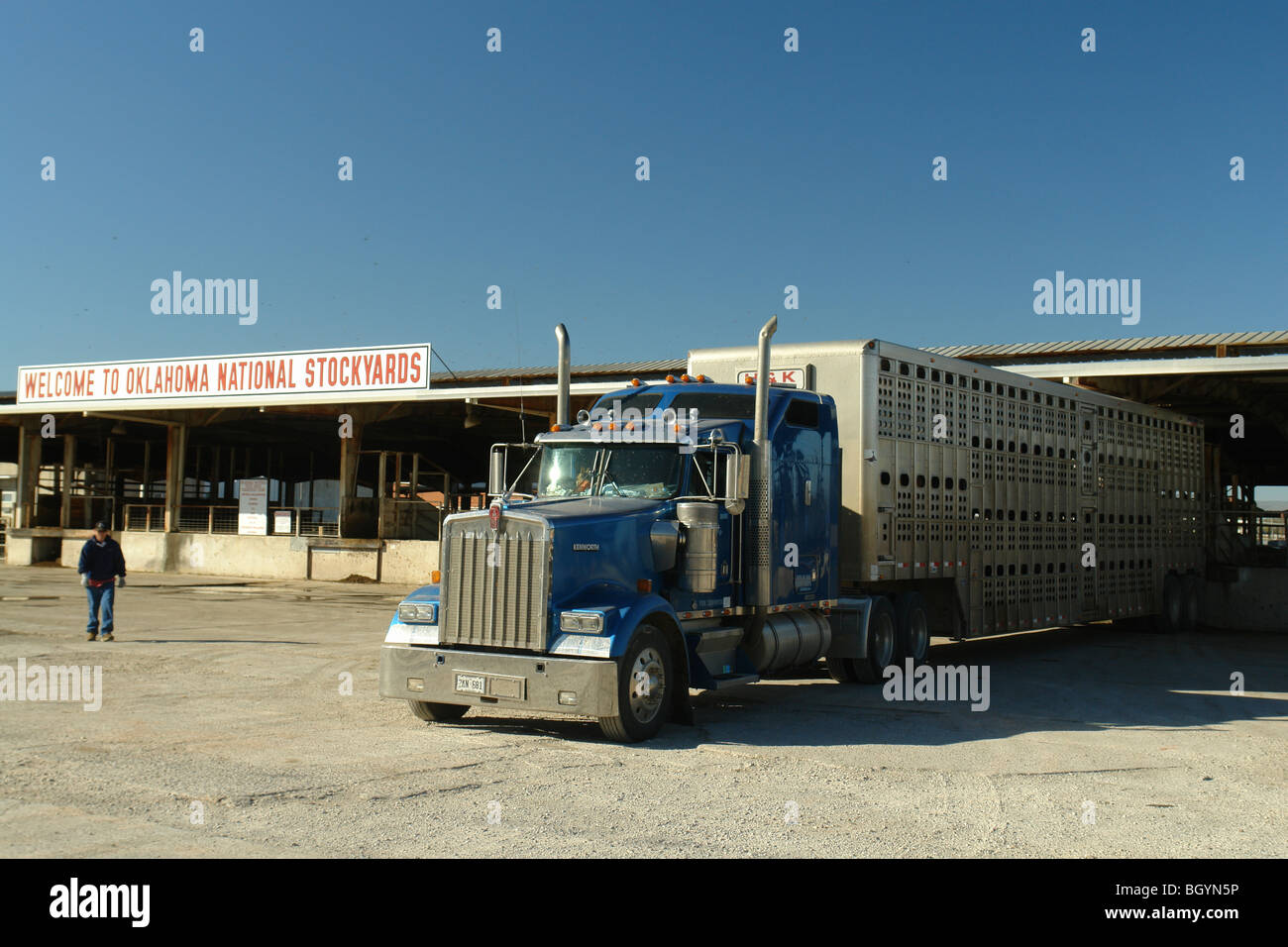 Oklahoma City, OK, Oklahoma, Oklahoma nationaler Viehhof, LKW Stockfoto