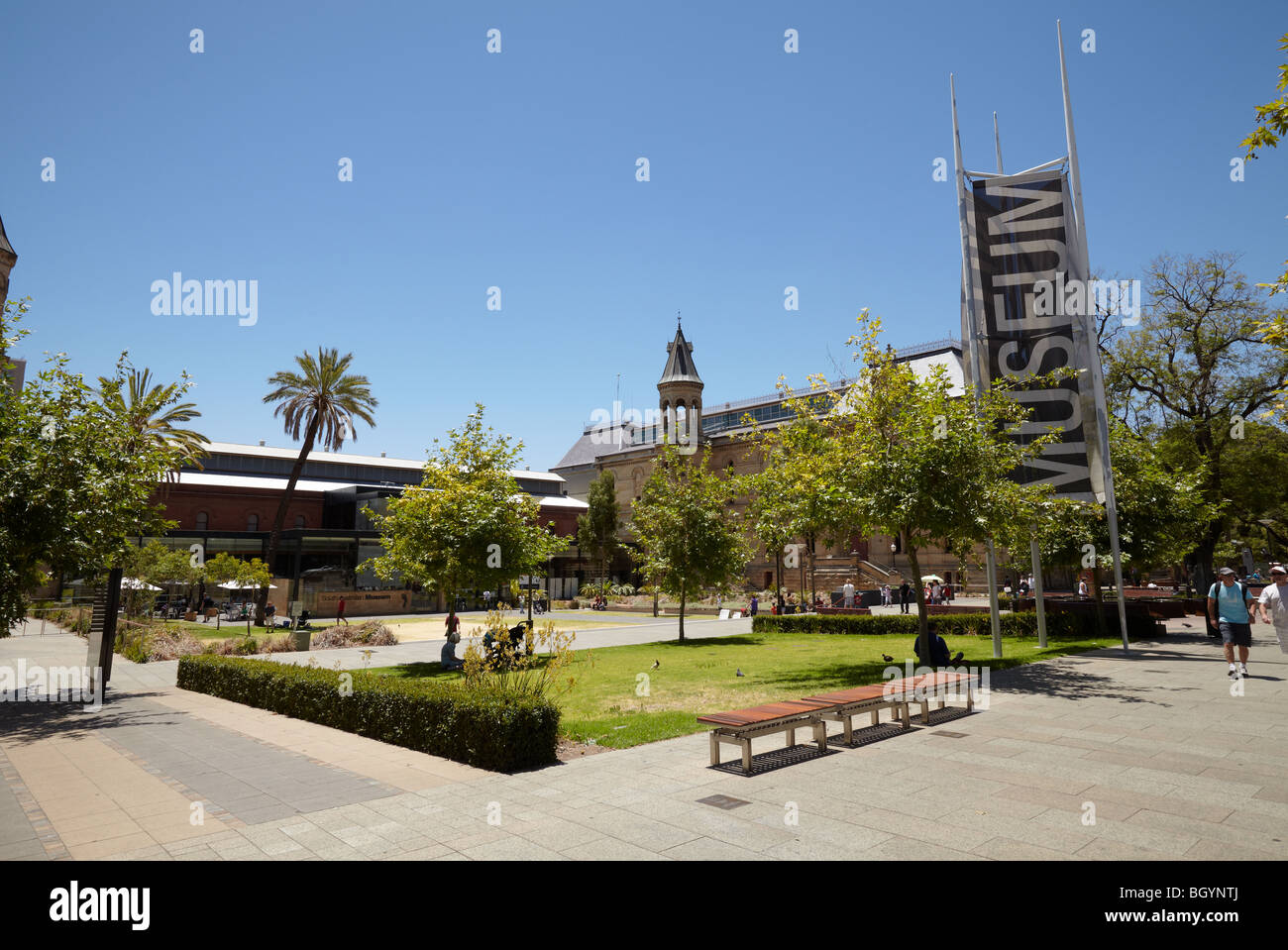 Museum of South Australia, Adelaide, SA, Australien Stockfoto