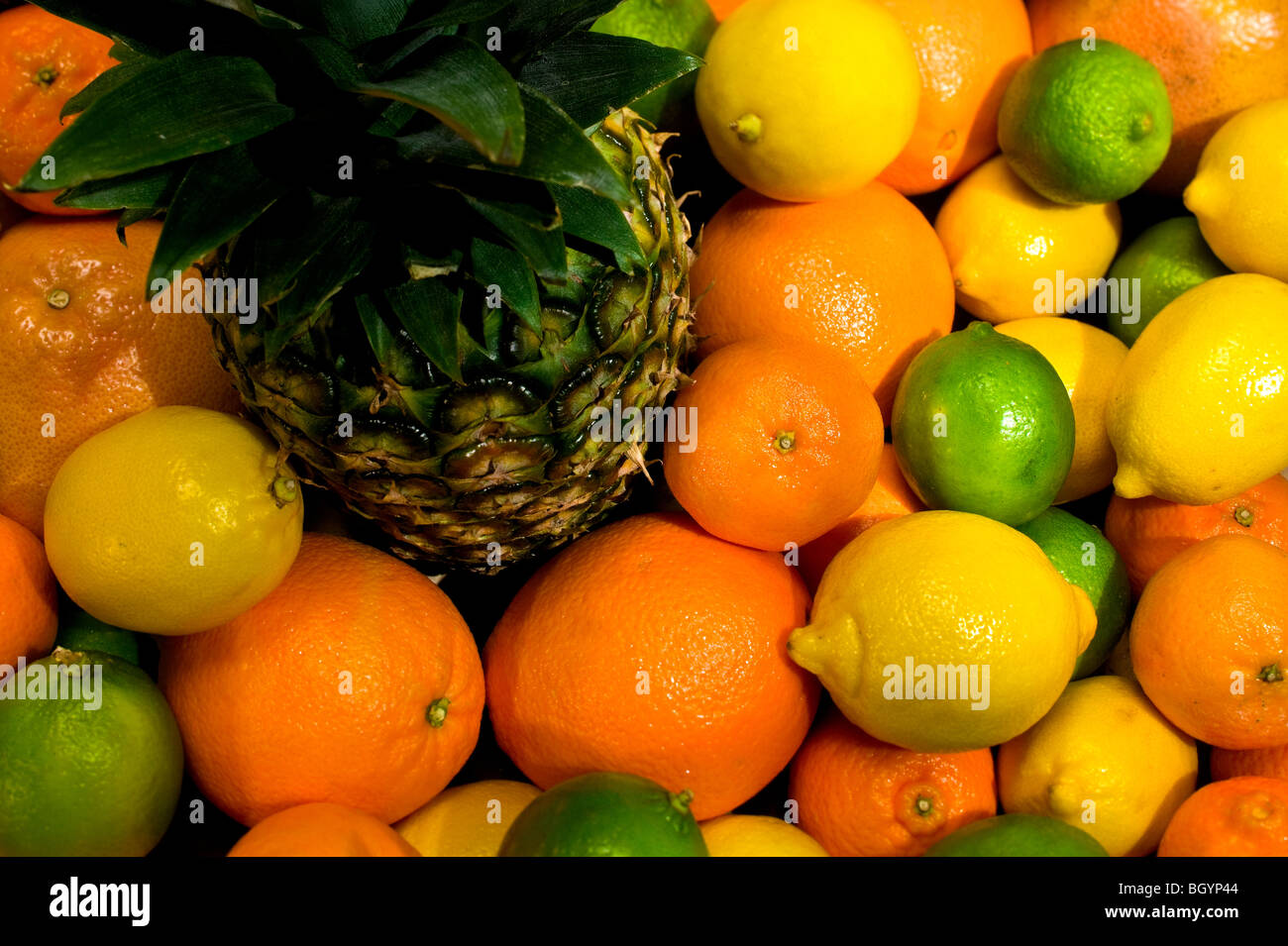 Ananas, Orange, Zitrone, Limette Stockfoto