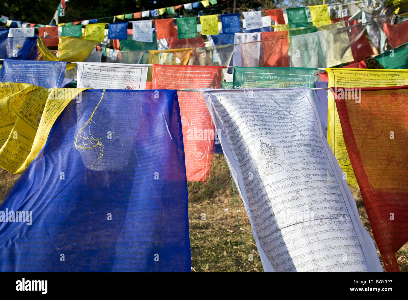Buddhistische Gebetsfahnen. Tsuglagkhang complex. McLeod Ganj. Dharamsala. Indien Stockfoto