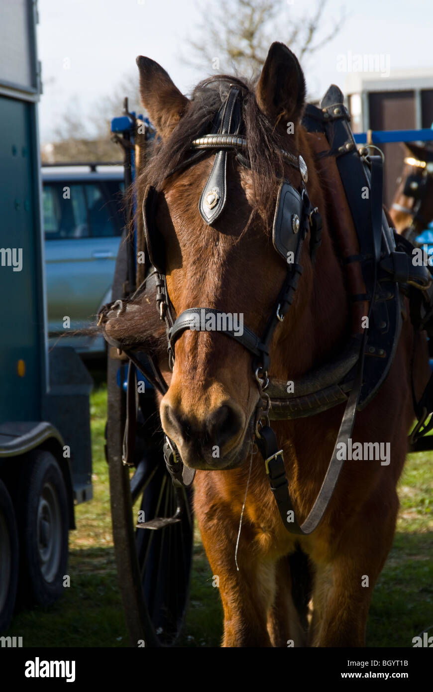 Pferd und Sattel detail Stockfoto