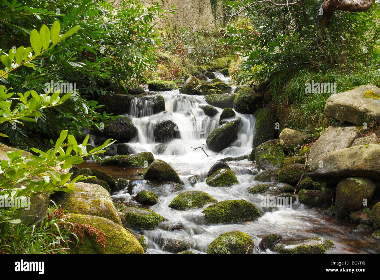 Wasserfall in Dublin Mountains Stockfoto