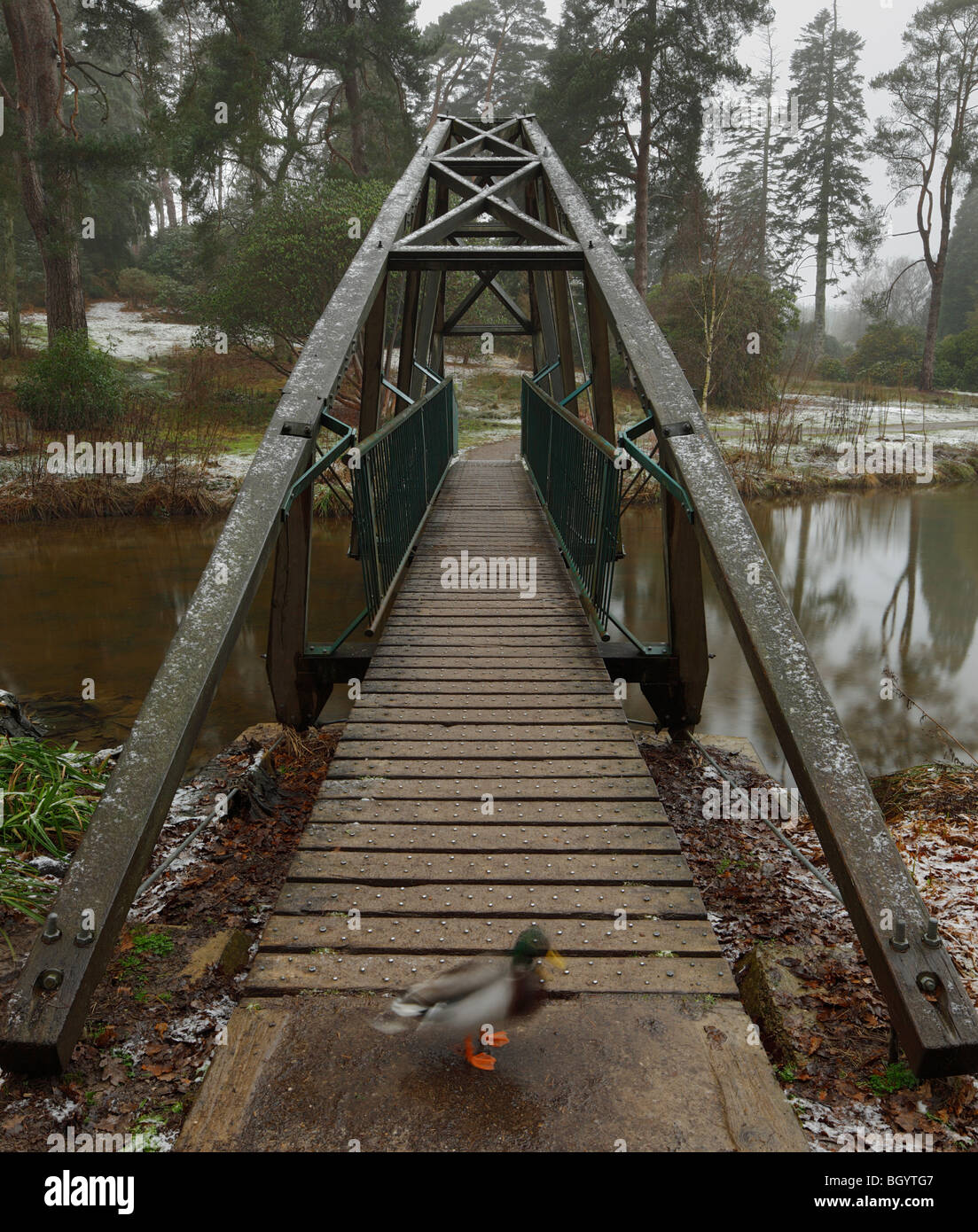 Brücke bei Bedgebury National Pinetum. Stockfoto