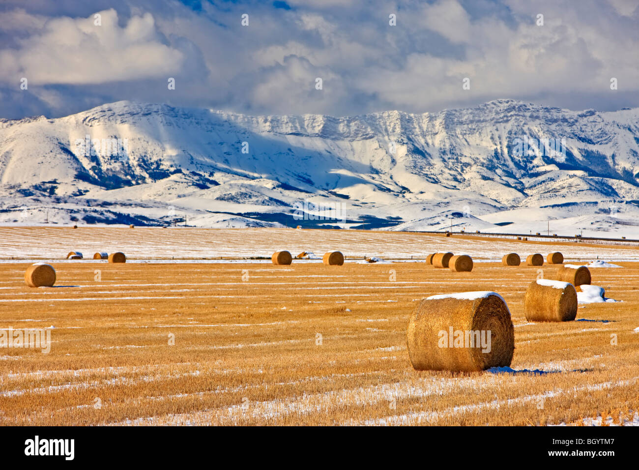 Heuballen bedeckt Schnee Backdropped von verschneiten Bergen im Süden von Alberta, Kanada. Stockfoto