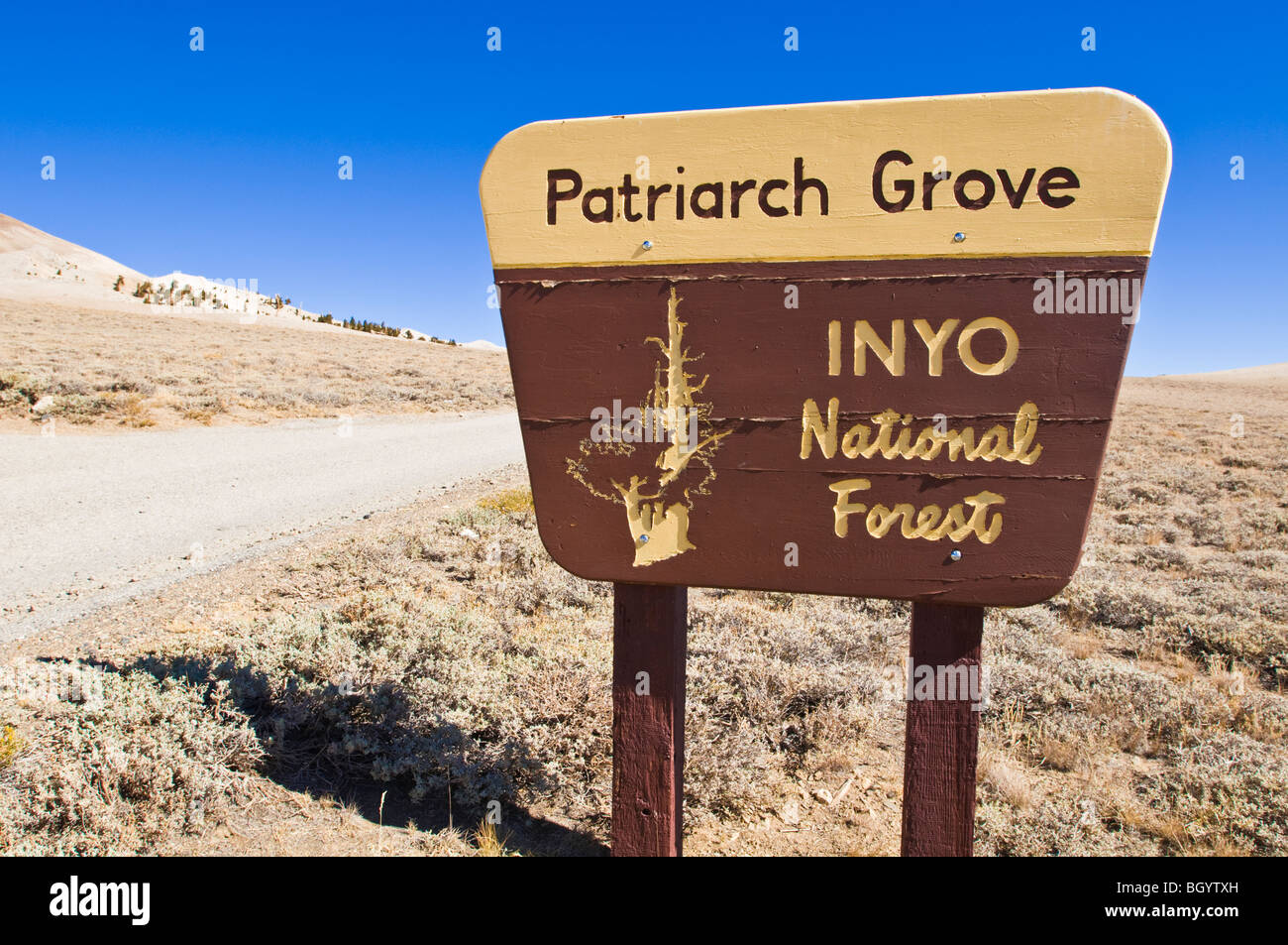 Schild an der Patriarch Grove, Ancient Bristlecone Pine Forest, Inyo National Forest, White Mountains, Kalifornien Stockfoto