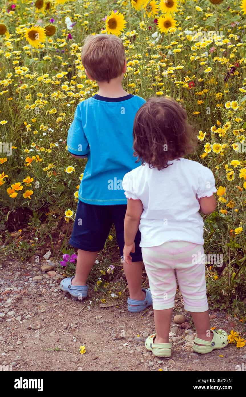 Zwei kleine Kinder Blick auf Sonnenblumen Stockfoto