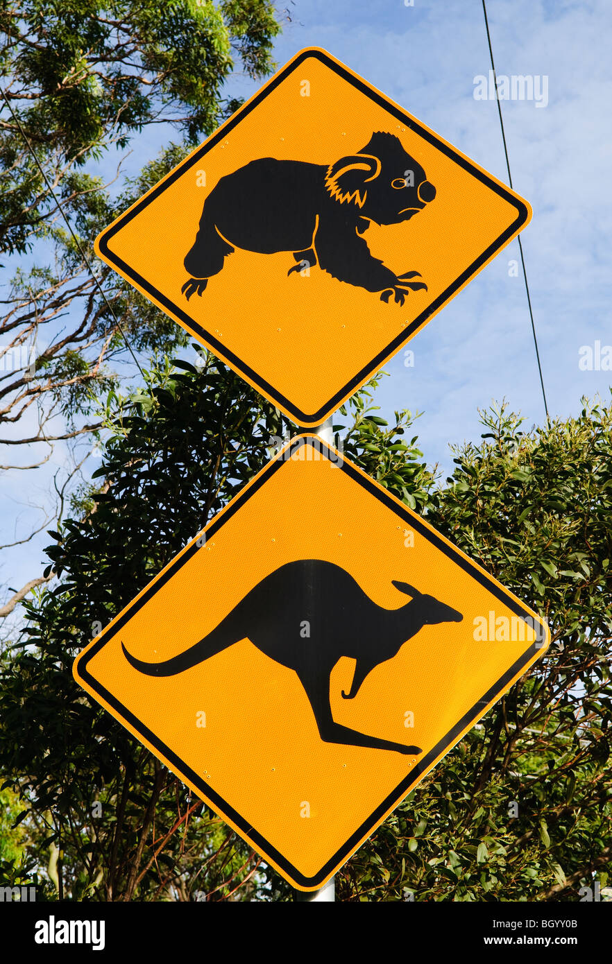 BRISBANE, Australien - Warnschild an der Seite der Straße Warnung der Koala und Känguruh Kreuzung Stockfoto