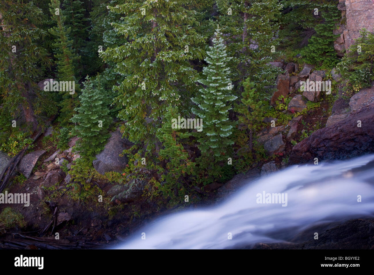 Alberta fällt, Rocky Mountain National Park, Colorado. Stockfoto