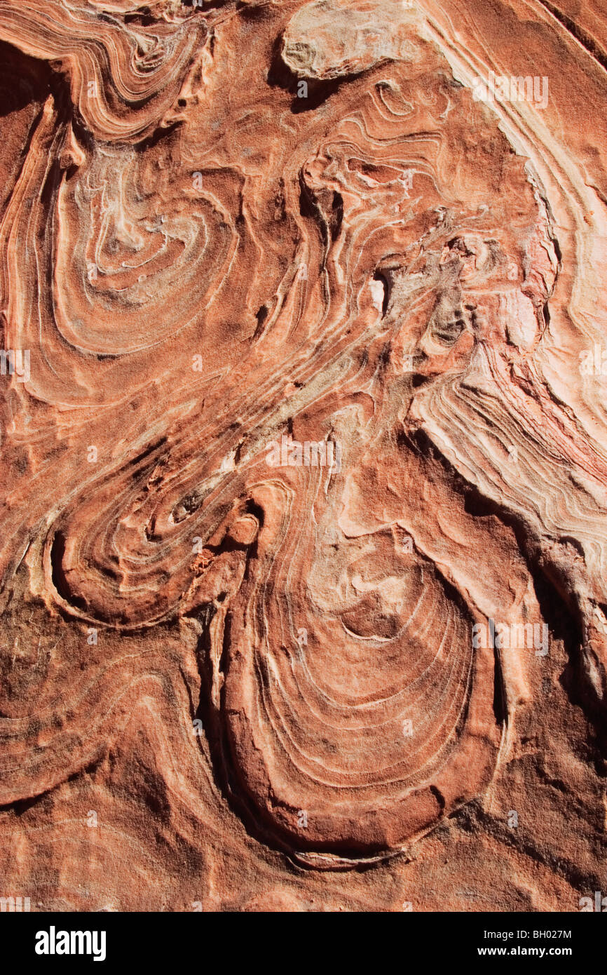 Slickrock Bildung, Coyote Buttes Bereich der Paria Canyon, Vermilion Cliffs Wilderness, Arizona. Stockfoto