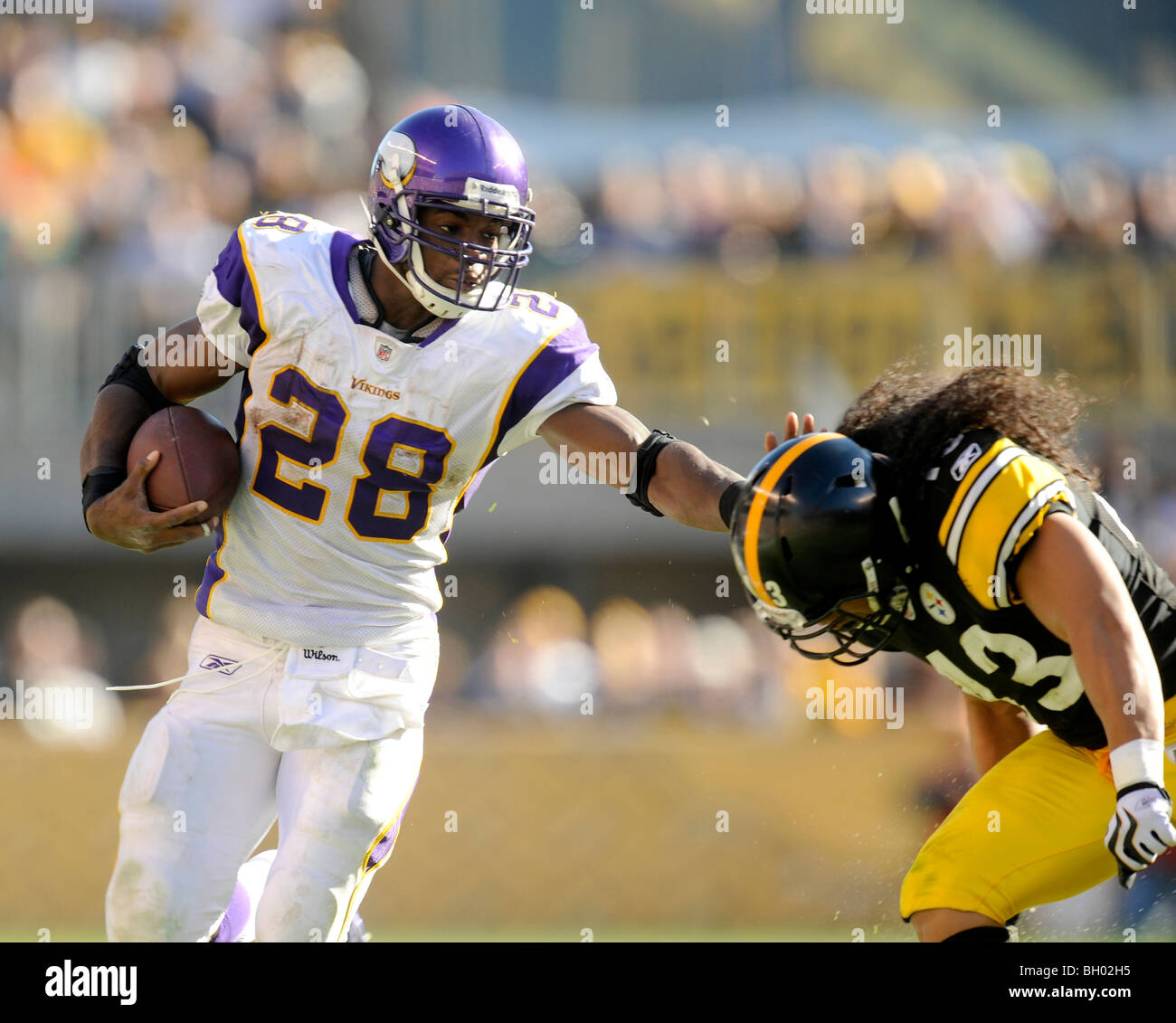 Adrian Peterson #28 von der Minnesota Vikings versucht zu vermeiden, die Bekämpfung von Troy Polamalu #43 von den Pittsburgh Steelers Stockfoto