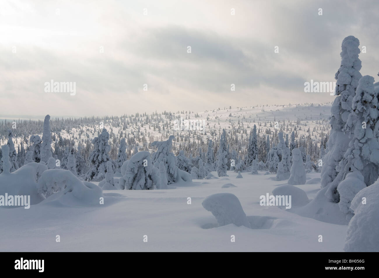 Riisitunturi Lappland Finnland Schnee Landschaft Nordland Winter Stockfoto