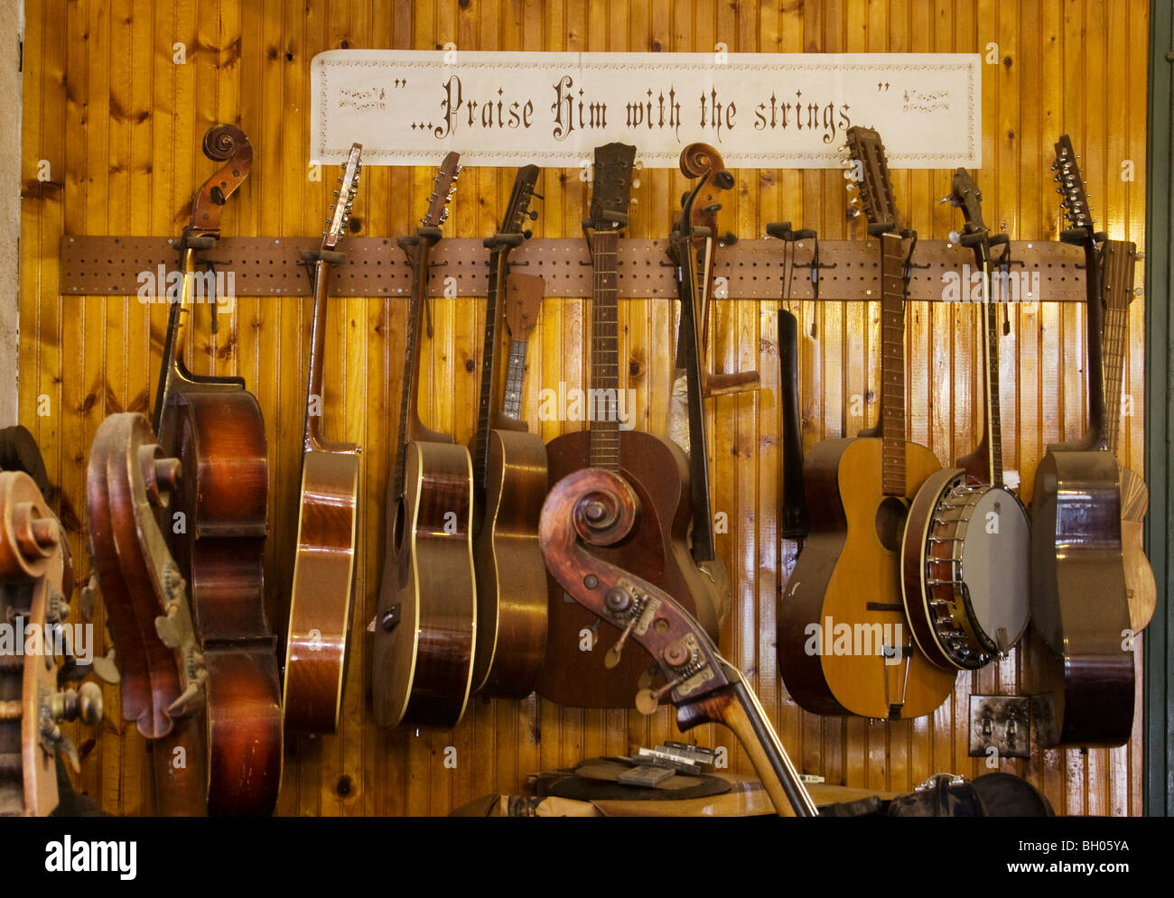 Saiteninstrumente aufgereiht für die Reparatur in einem Gitarrenbauer-Shop. Stockfoto