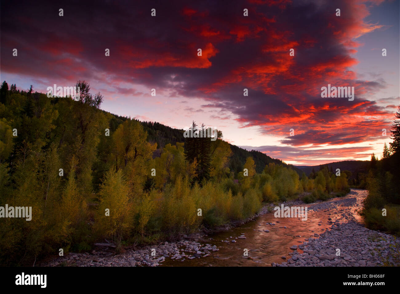 Anthrazit Creek mit Herbstfarben bei Sonnenuntergang entlang Kebler Pass Road, Colorado. Stockfoto