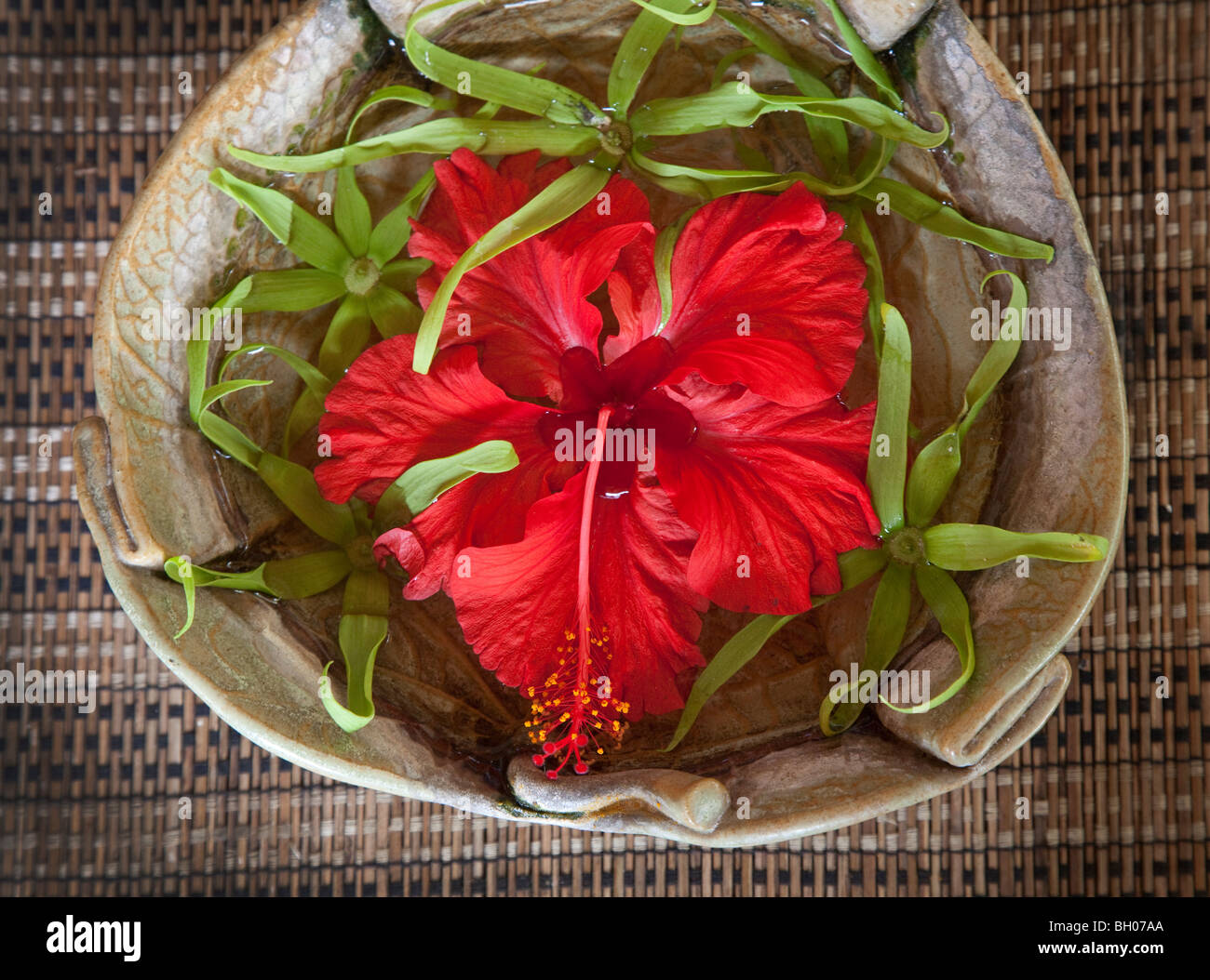 Rote Hibiskusblüten schwebend in eine Wasserschale, Bali, Indonesien Stockfoto