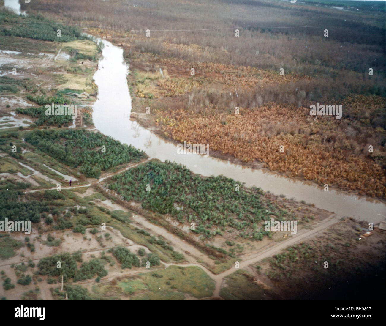 Foto Zeigt Verschlechterung Der Vegetation Wahrscheinlich Verursacht Durch Agent Orange Oder Eine Ahnliche Entlaubungsmittel Im Vietnamkrieg Eingesetzt Stockfotografie Alamy