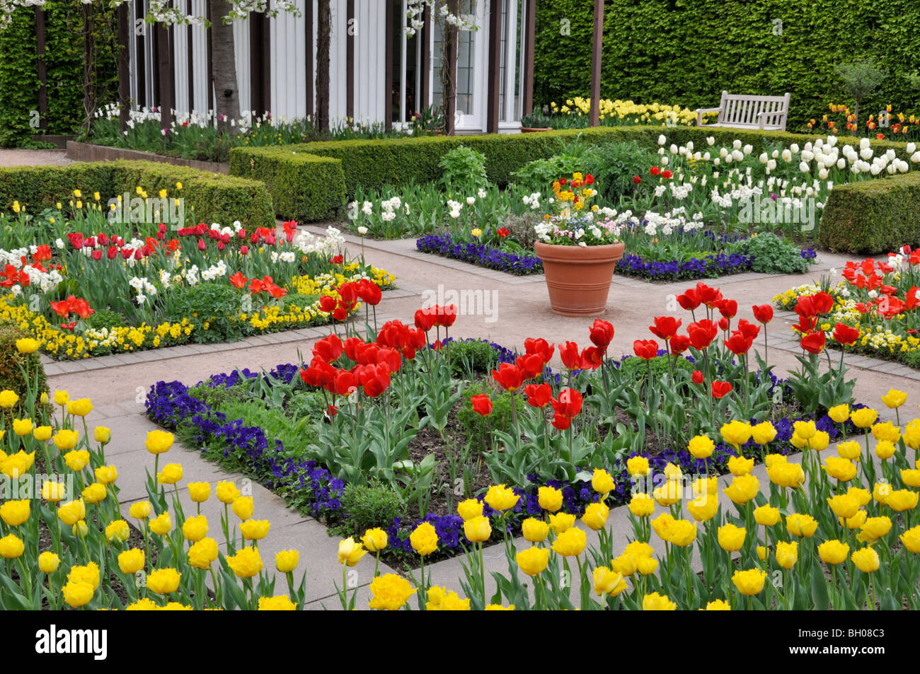 Tulip Garten, Britzer Garten, Berlin, Deutschland Stockfoto