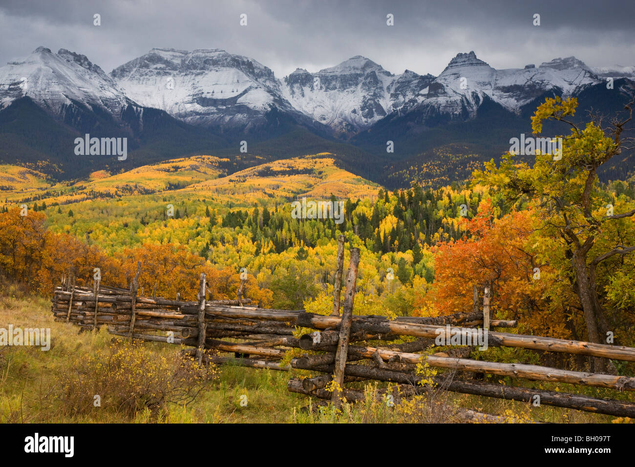 Farben des Herbstes und der Sneffels Strecke, San Juan Mountains, Colorado. Stockfoto