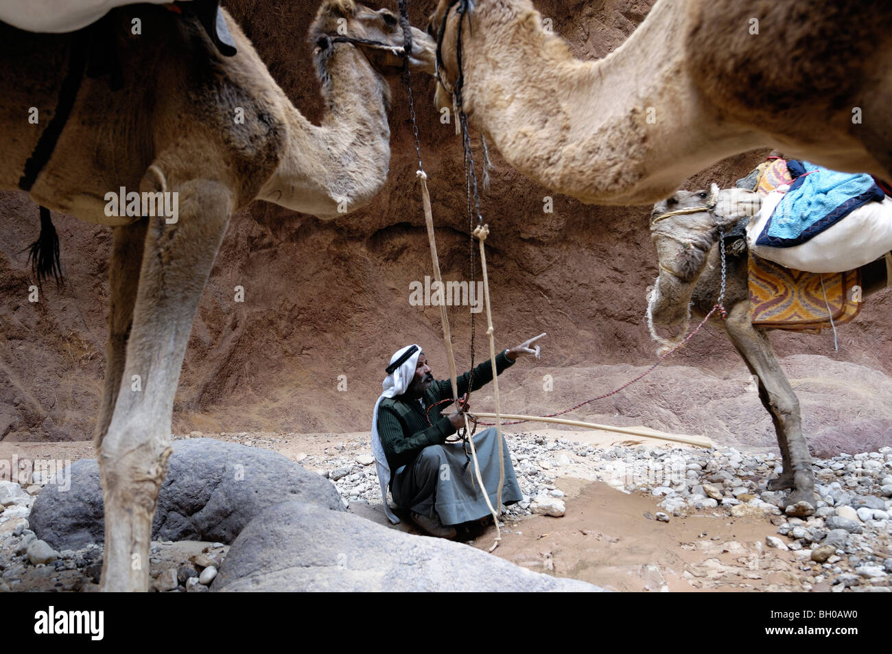 Porträts von Leben der Beduinen in Jordanien Stockfoto