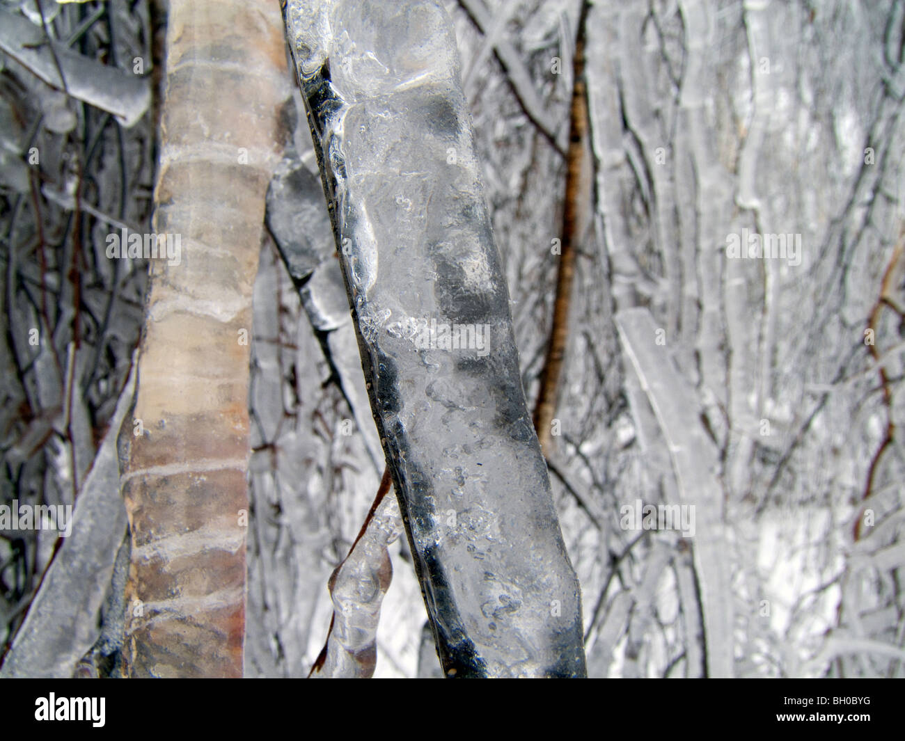 Extremwetter - Winter - Raureif und glasierten frost Stockfoto