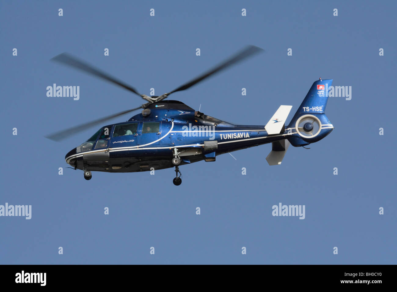 Eurocopter AS365 Dauphin Hubschrauber betrieben von Tunisavia Stockfoto
