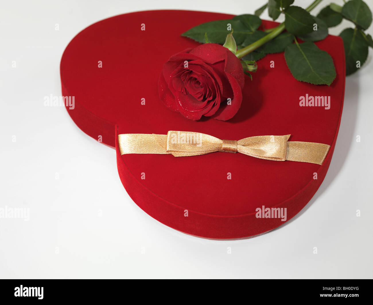 Rote, herzförmige Geschenkbox und eine rote Rose isoliert auf weißem Hintergrund Stockfoto