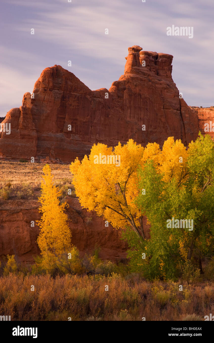 Courthouse Wash, Arches-Nationalpark, in der Nähe von Moab, Utah. Stockfoto