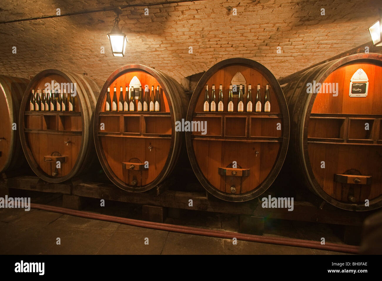 Holzfass, Fässer Wein in Hospices de Straßburg Elsass Frankreich horizontale 099916 Strasbourg Stockfoto
