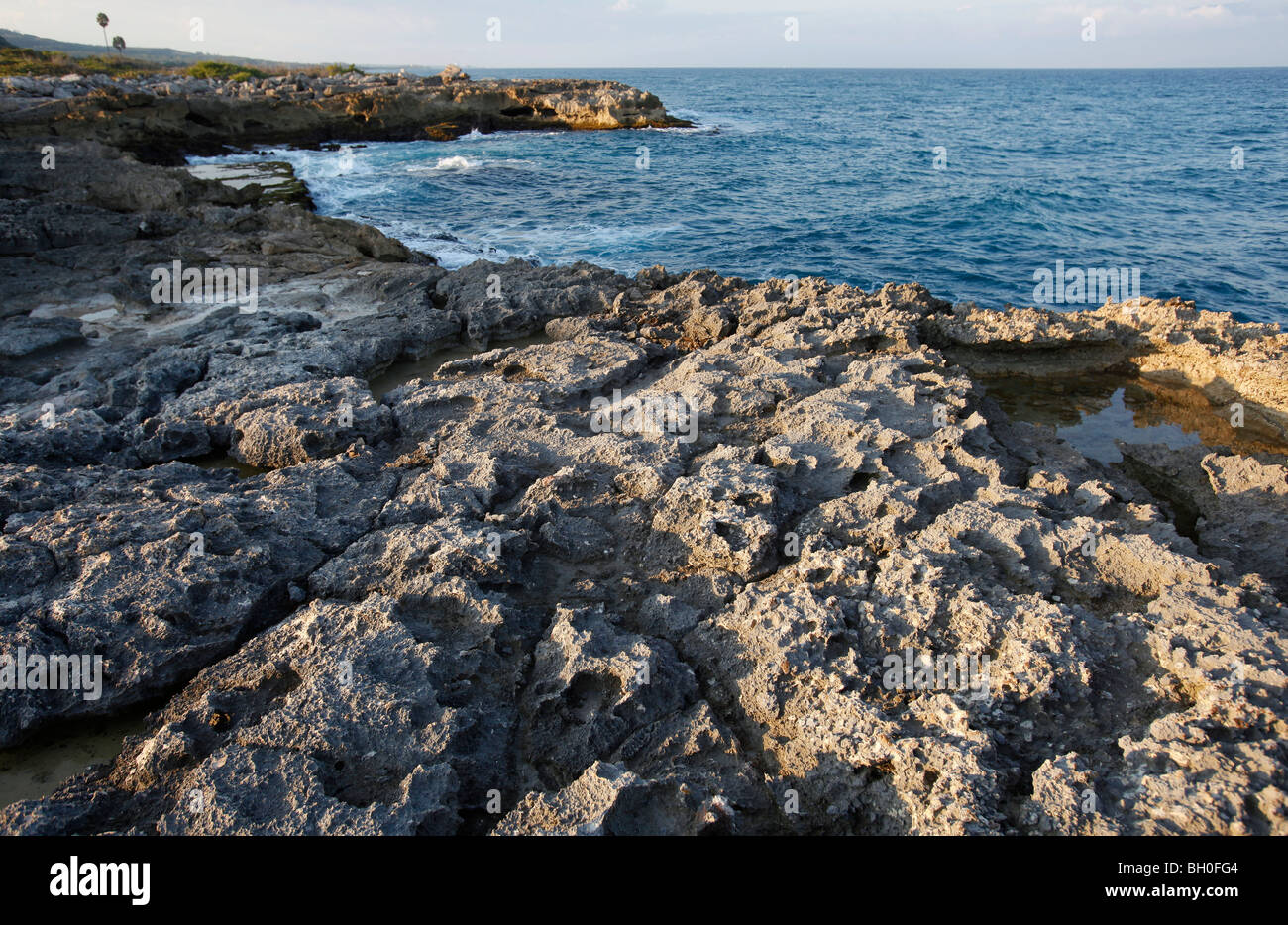 Versteinerte Koralle Küste, Südwest Dominikanische Republik Stockfoto