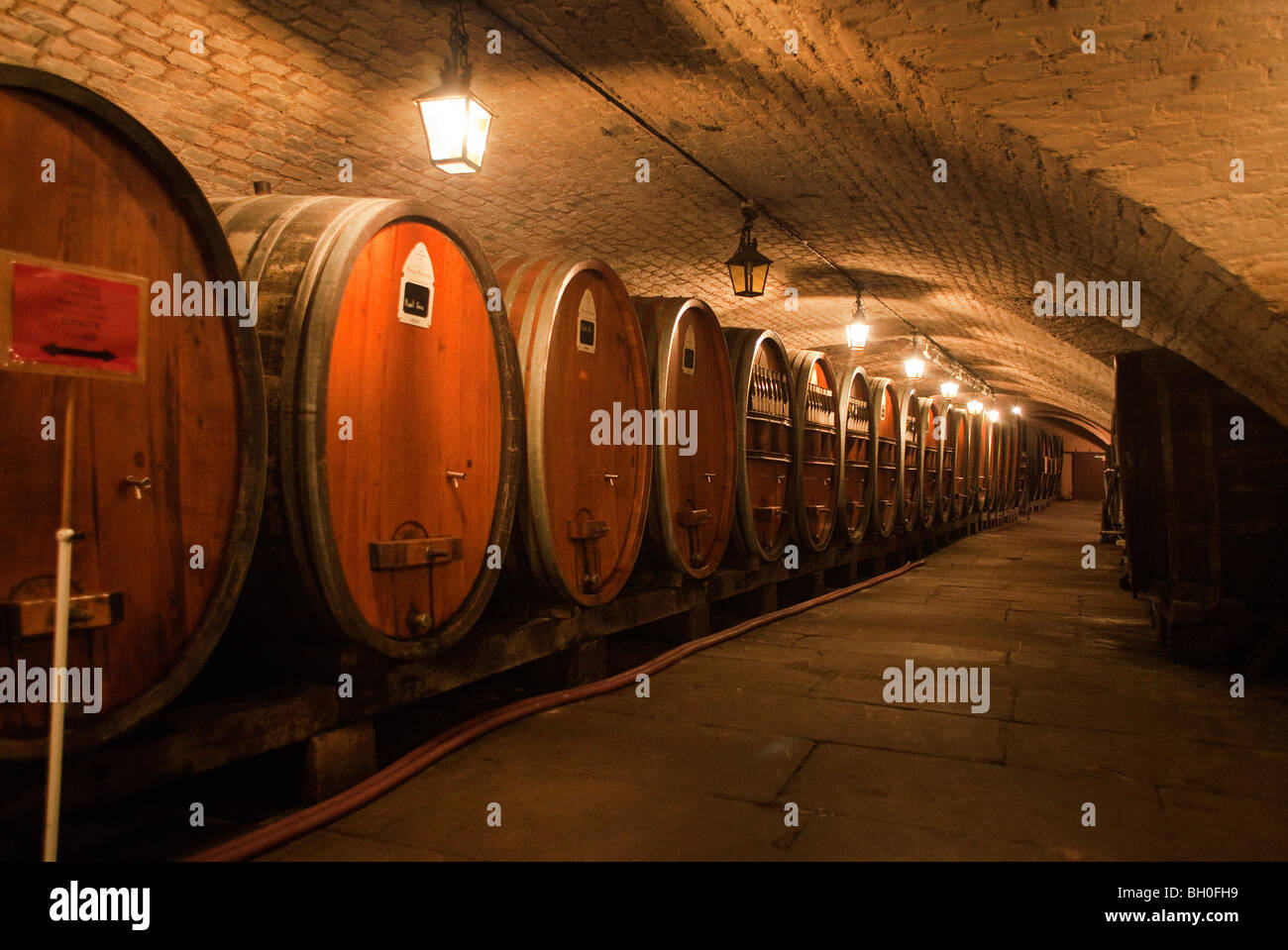 Holzfass, Fässer Wein in Hospices de Straßburg Elsass Frankreich horizontale 099933 Strasbourg Stockfoto