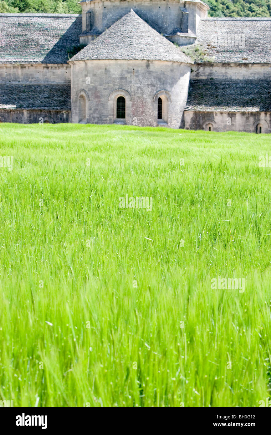 Die Abtei Senanque in der Nähe von Gordes Frankreich Stockfoto