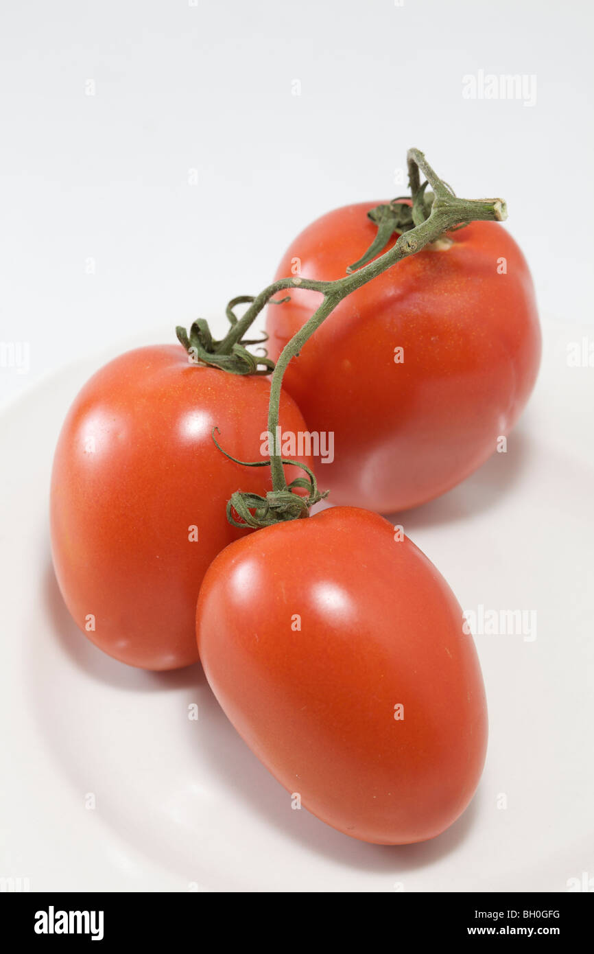 Drei Roma-Tomaten auf Teller. Still-Leben. Stockfoto