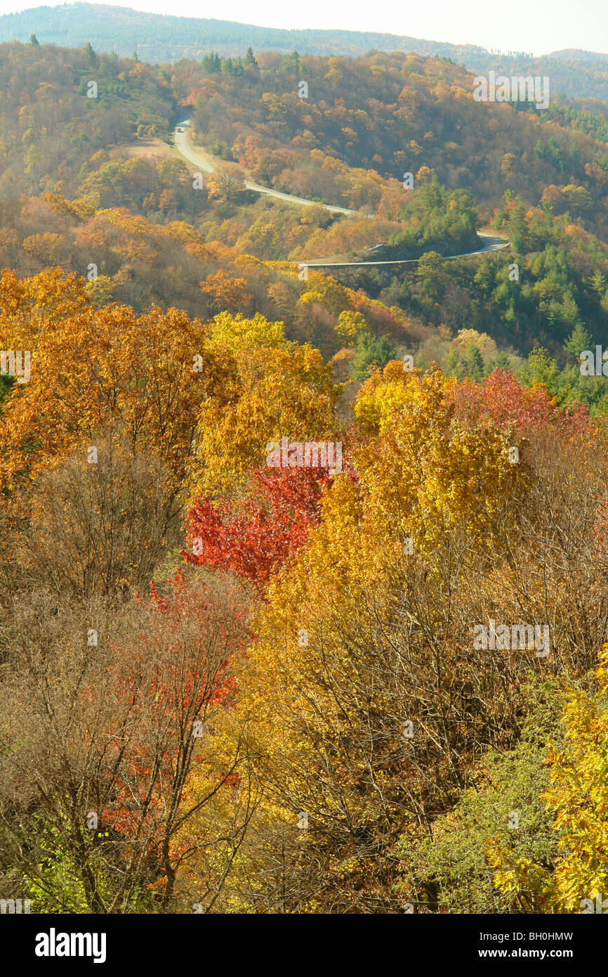 Blue Ridge Parkway, NC, North Carolina, Doughton Park, Herbst, overlook, Straße Stockfoto