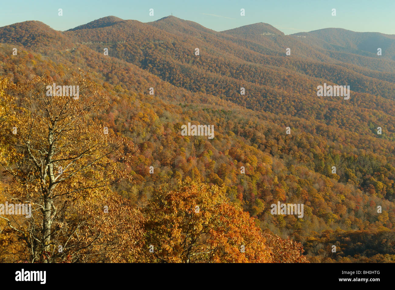Blue Ridge Parkway, NC, North Carolina, Pisgah National Forest, Herbst Stockfoto