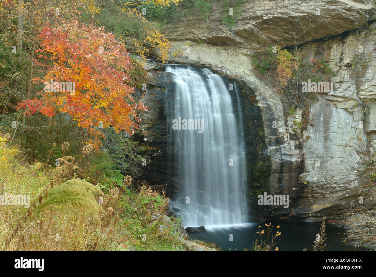 Blue Ridge Parkway, NC, North Carolina, Looking Glass fällt, Pisgah National Forest, Herbst Stockfoto