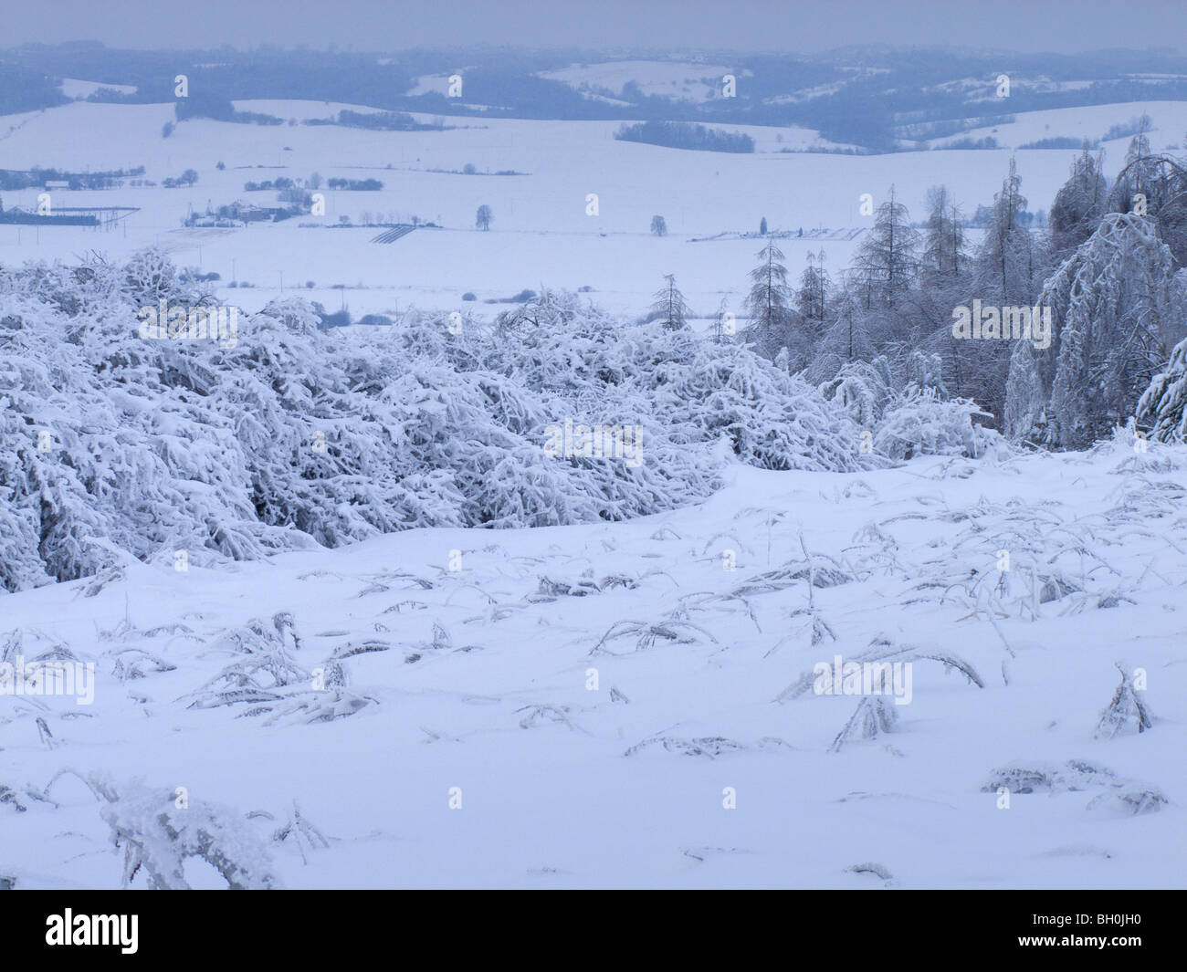 Extremwetter - Winter - Raureif und glasierten frost Stockfoto