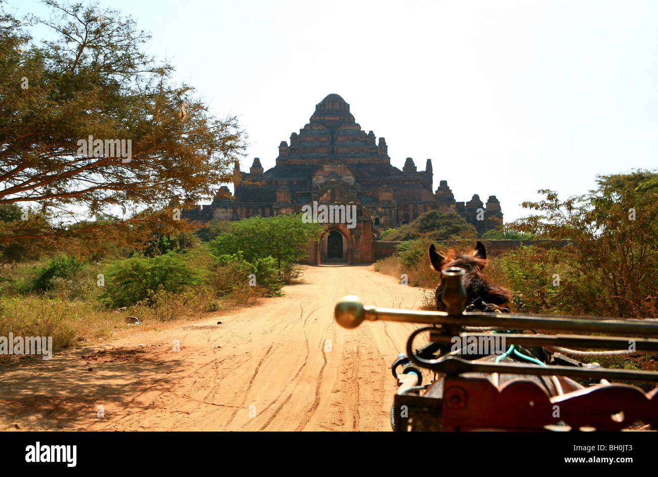 Pferdekutsche vor dem Dhammayangyi Tempel im Sonnenlicht, Bagan, Myanmar, Myanmar, Asien Stockfoto