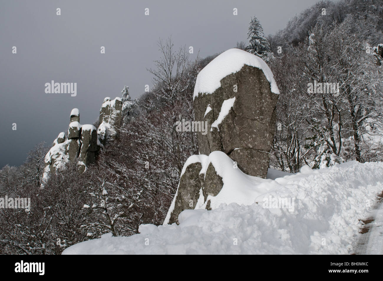 Cevennen Nationalpark in Schnee, Gard, Südfrankreich Stockfoto