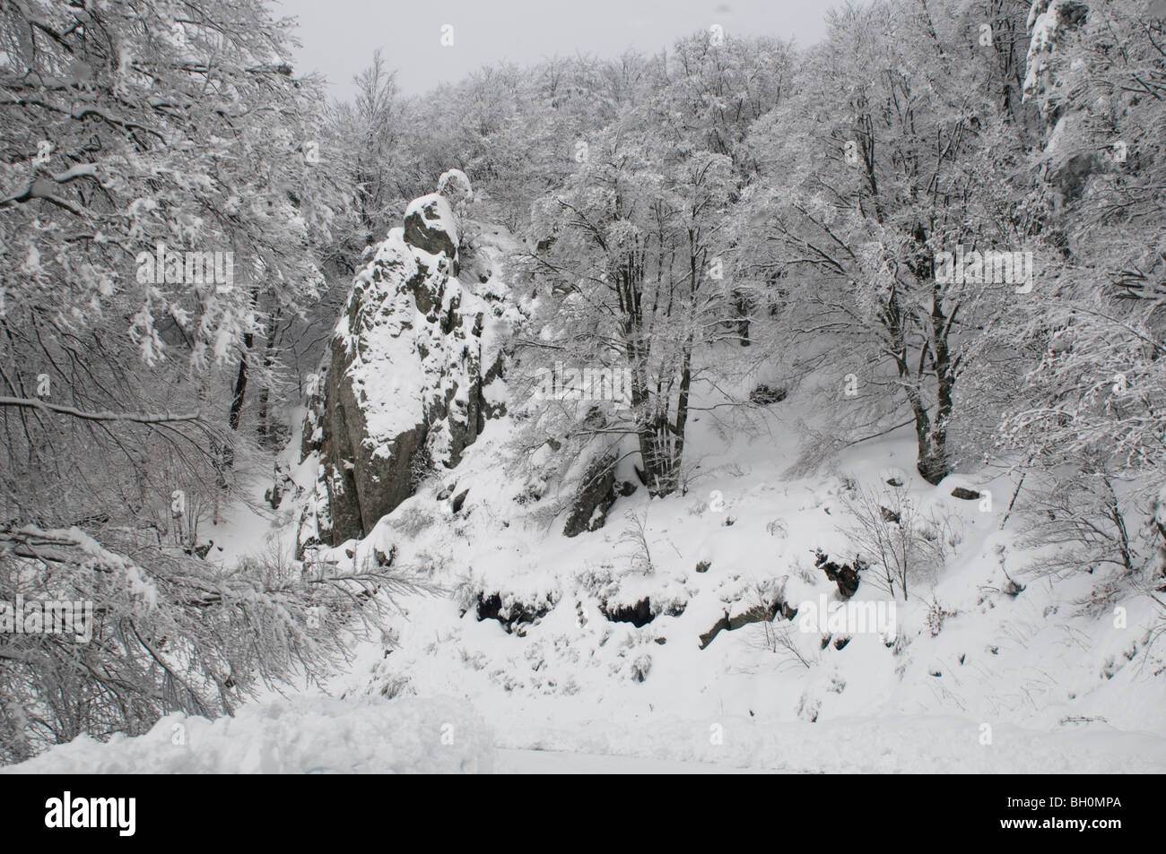 Cevennen Nationalpark in Schnee, Gard, Südfrankreich Stockfoto