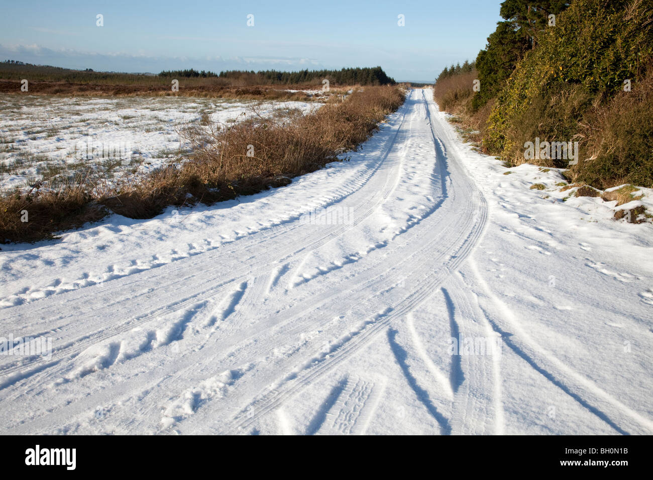 Winter-Landschaft, Irland Stockfoto