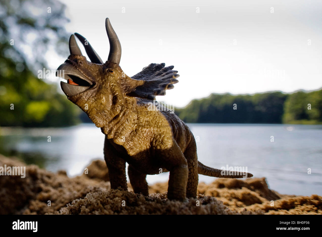 Spielzeug-Triceratops am Ufer eines Sees Stockfoto