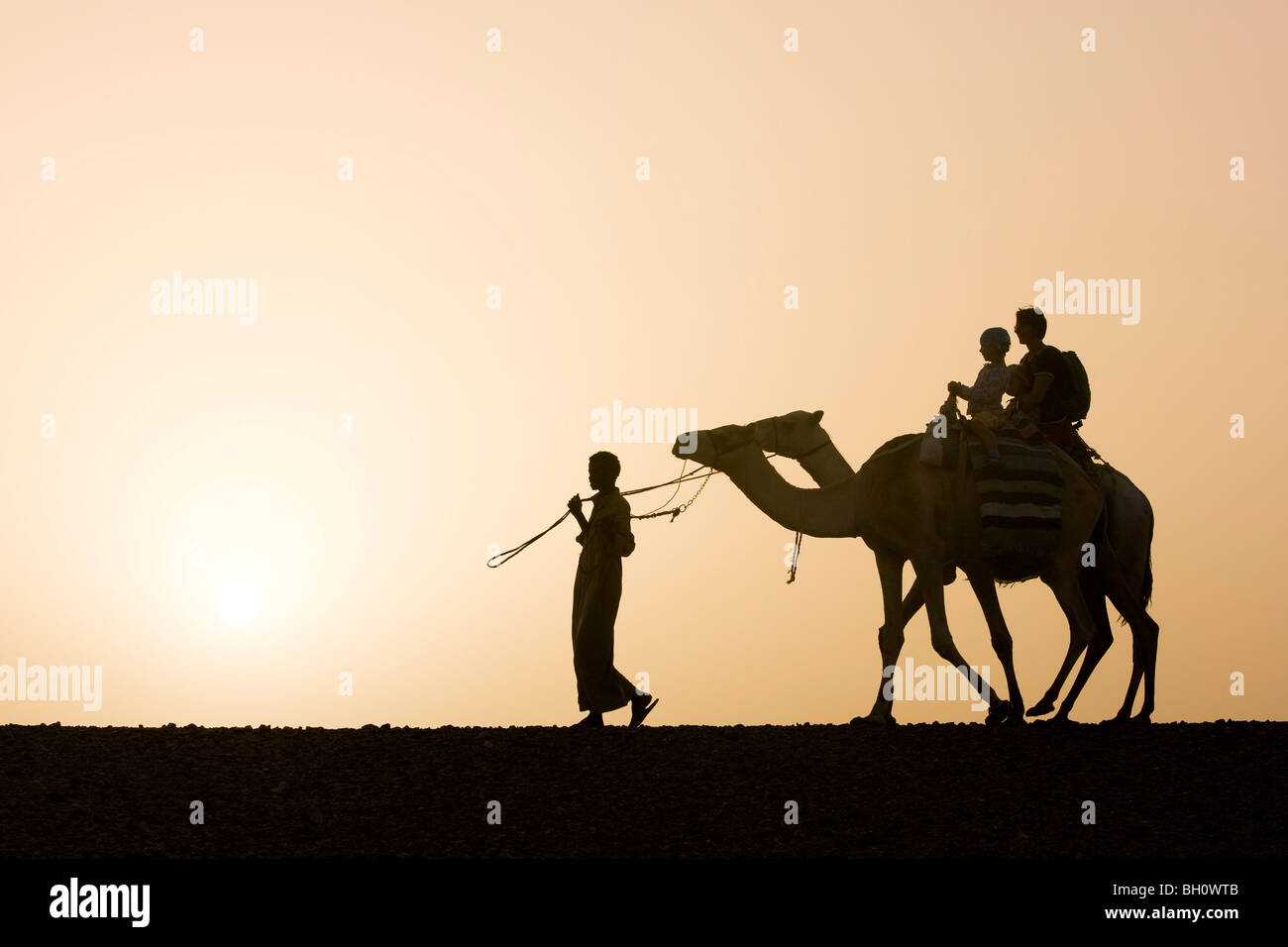 Ein Mann, ein Beduine führt zwei Kamele mit Touristen, eine Mutter und zwei Kinder bei Sonnenuntergang, Marsa Alam Wüste, Rotes Meer, Ägypten Stockfoto